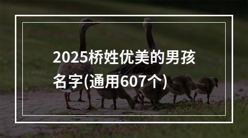 2025桥姓优美的男孩名字(通用607个)
