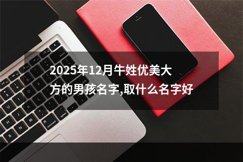 2025年12月牛姓优美大方的男孩名字,取什么名字好