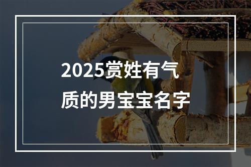 2025赏姓有气质的男宝宝名字