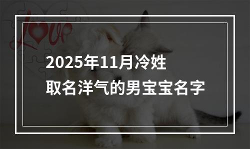 2025年11月冷姓取名洋气的男宝宝名字