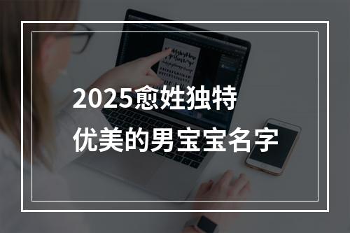 2025愈姓独特优美的男宝宝名字