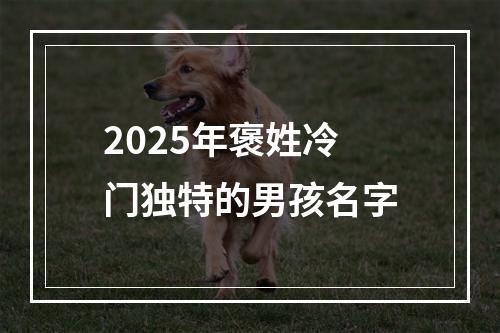 2025年褒姓冷门独特的男孩名字