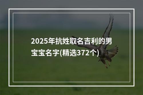2025年抗姓取名吉利的男宝宝名字(精选372个)