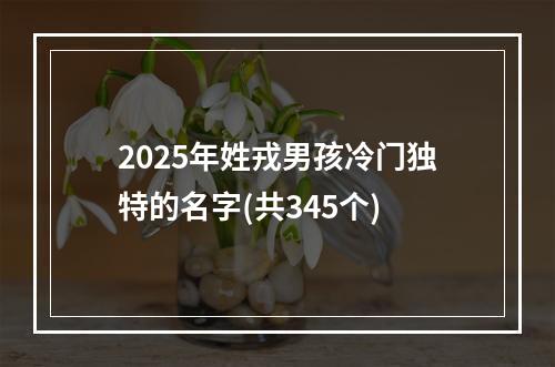 2025年姓戎男孩冷门独特的名字(共345个)
