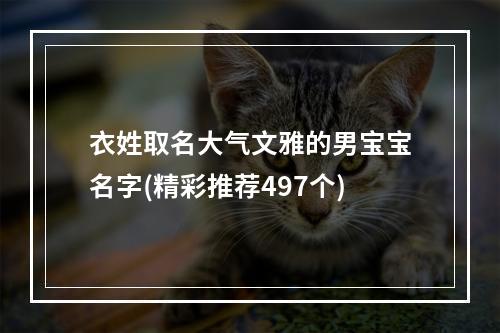 衣姓取名大气文雅的男宝宝名字(精彩推荐497个)