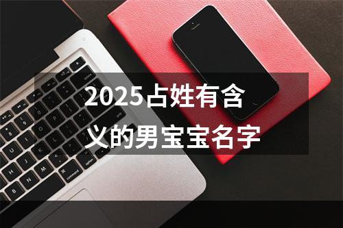 2025占姓有含义的男宝宝名字