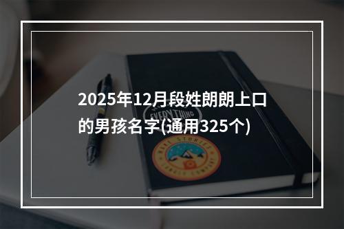 2025年12月段姓朗朗上口的男孩名字(通用325个)
