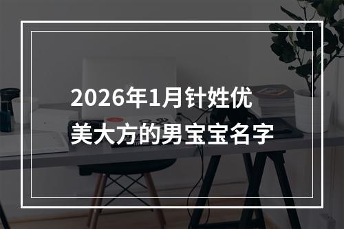 2026年1月针姓优美大方的男宝宝名字