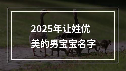 2025年让姓优美的男宝宝名字