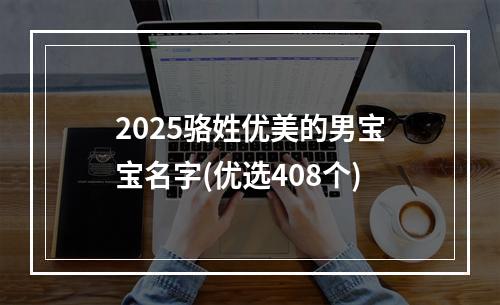 2025骆姓优美的男宝宝名字(优选408个)