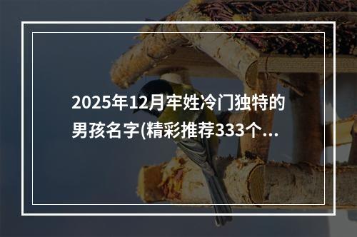 2025年12月牢姓冷门独特的男孩名字(精彩推荐333个)