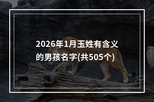 2026年1月玉姓有含义的男孩名字(共505个)
