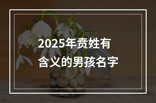 2025年贲姓有含义的男孩名字