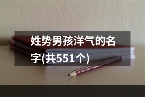 姓势男孩洋气的名字(共551个)