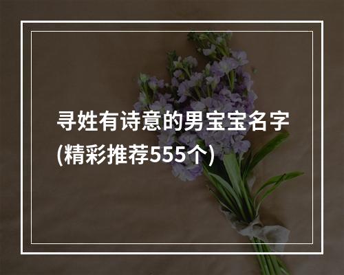 寻姓有诗意的男宝宝名字(精彩推荐555个)