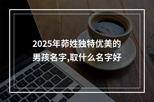 2025年茆姓独特优美的男孩名字,取什么名字好
