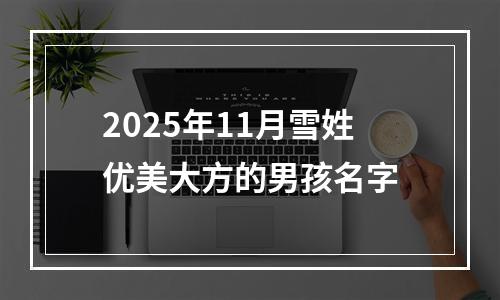 2025年11月雪姓优美大方的男孩名字