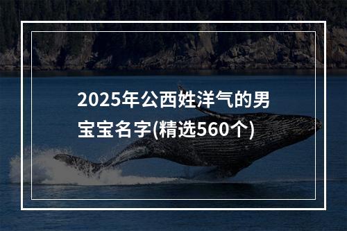 2025年公西姓洋气的男宝宝名字(精选560个)