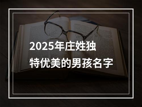 2025年庄姓独特优美的男孩名字