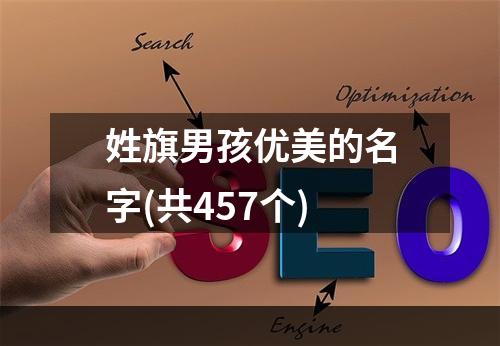 姓旗男孩优美的名字(共457个)