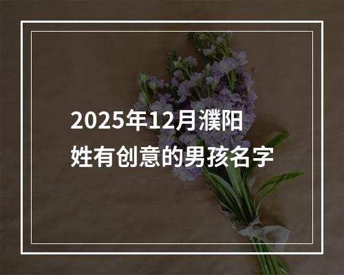 2025年12月濮阳姓有创意的男孩名字