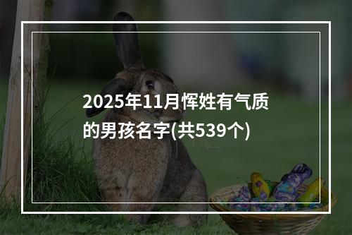 2025年11月恽姓有气质的男孩名字(共539个)