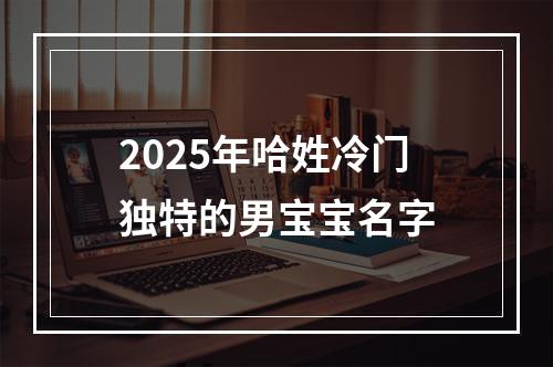 2025年哈姓冷门独特的男宝宝名字