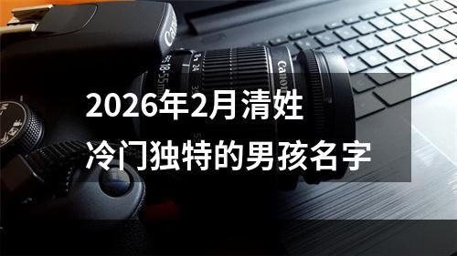 2026年2月清姓冷门独特的男孩名字