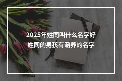 2025年姓同叫什么名字好 姓同的男孩有涵养的名字
