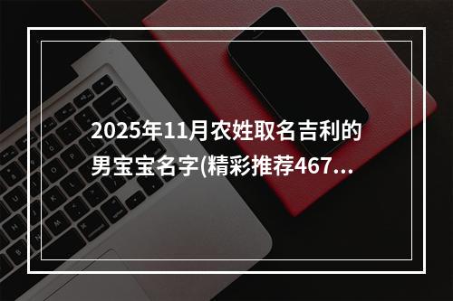 2025年11月农姓取名吉利的男宝宝名字(精彩推荐467个)