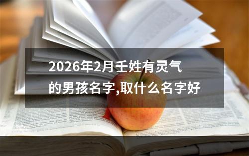 2026年2月壬姓有灵气的男孩名字,取什么名字好