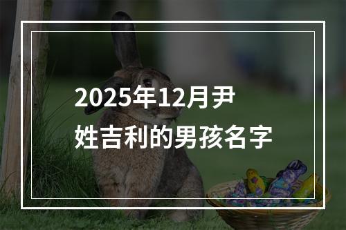 2025年12月尹姓吉利的男孩名字