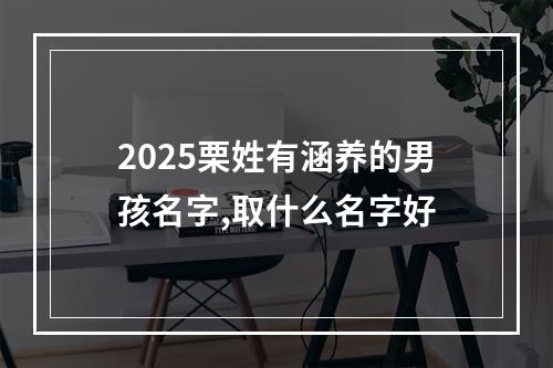 2025栗姓有涵养的男孩名字,取什么名字好