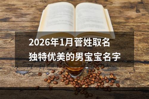 2026年1月菅姓取名独特优美的男宝宝名字