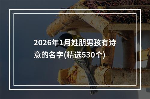 2026年1月姓朋男孩有诗意的名字(精选530个)