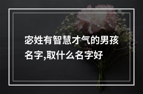 宓姓有智慧才气的男孩名字,取什么名字好