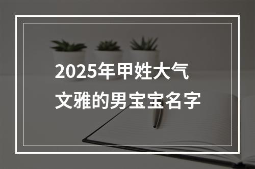 2025年甲姓大气文雅的男宝宝名字