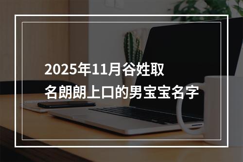 2025年11月谷姓取名朗朗上口的男宝宝名字