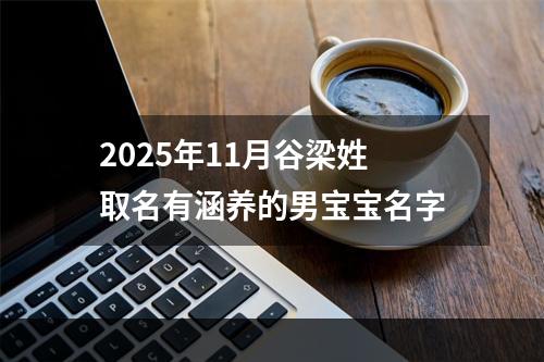 2025年11月谷梁姓取名有涵养的男宝宝名字