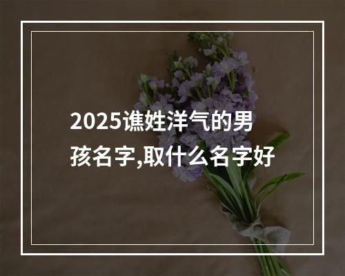 2025谯姓洋气的男孩名字,取什么名字好