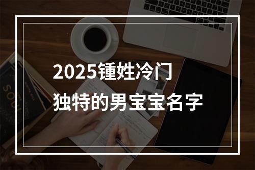 2025锺姓冷门独特的男宝宝名字