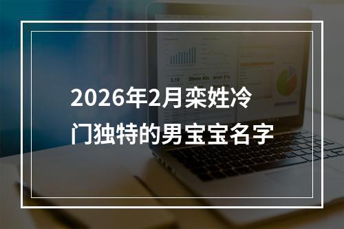 2026年2月栾姓冷门独特的男宝宝名字