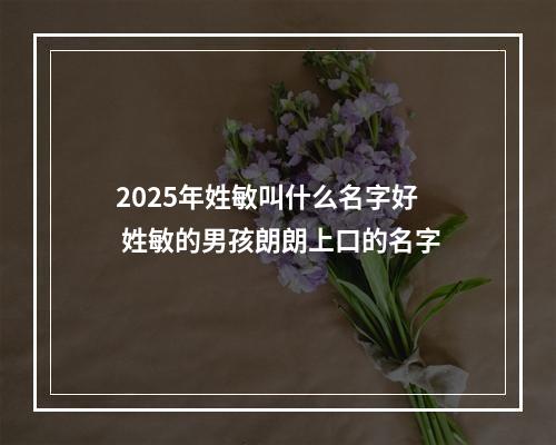 2025年姓敏叫什么名字好 姓敏的男孩朗朗上口的名字