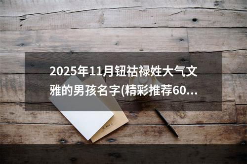 2025年11月钮祜禄姓大气文雅的男孩名字(精彩推荐600个)