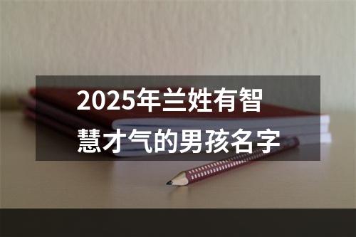 2025年兰姓有智慧才气的男孩名字