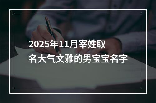 2025年11月宰姓取名大气文雅的男宝宝名字