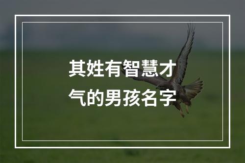 其姓有智慧才气的男孩名字