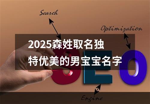 2025森姓取名独特优美的男宝宝名字