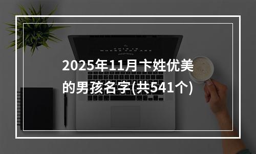 2025年11月卞姓优美的男孩名字(共541个)