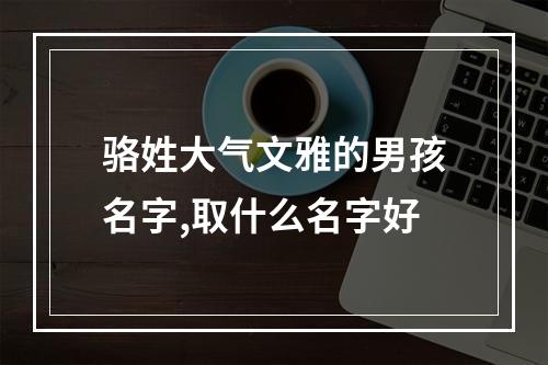骆姓大气文雅的男孩名字,取什么名字好